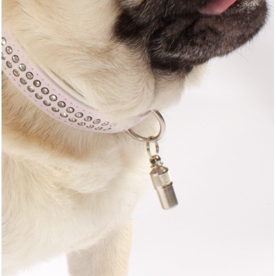 Two metal tube identification tags for cats and small dogs Two metal tube identification tags for cats and small dogs