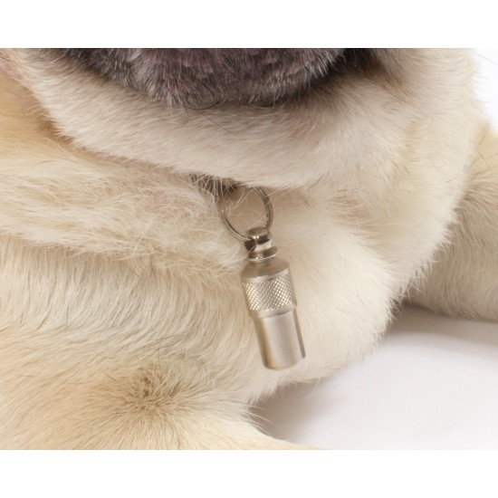 Two metal tube identification tags for cats and small dogs Two metal tube identification tags for cats and small dogs
