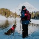 UMIONE Pet Light: Waterproof Dog Light, Durable and Ideal for Night Walks (in Gift Box) (Umione-White-02) UMIONE Pet Light: Waterproof Dog Light, Durable and Ideal for Night Walks (in Gift Box) (Umione-White-02)