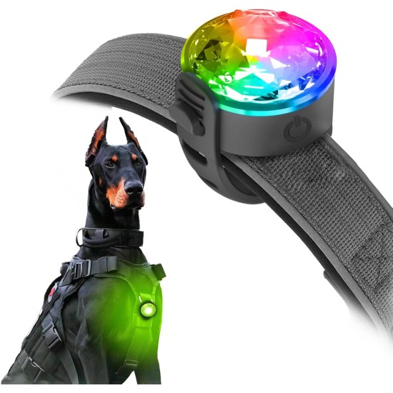 UMIONE Pet Light: Waterproof Dog Light, Durable and Ideal for Night Walks (in Gift Box) (Umione-White-02) UMIONE Pet Light: Waterproof Dog Light, Durable and Ideal for Night Walks (in Gift Box) (Umione-White-02)