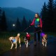 UMIONE Pet Light: Waterproof Dog Light, Durable and Ideal for Night Walks (in Gift Box) (Umione-White-02) UMIONE Pet Light: Waterproof Dog Light, Durable and Ideal for Night Walks (in Gift Box) (Umione-White-02)