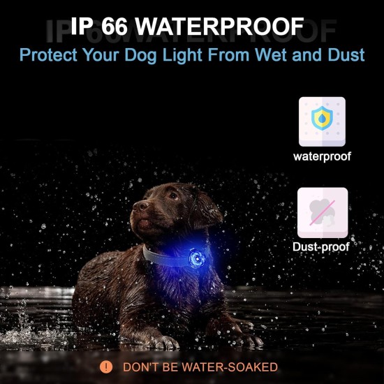 UMIONE Pet Light: Waterproof Dog Light, Durable and Ideal for Night Walks (in Gift Box) (Umione-White-02) UMIONE Pet Light: Waterproof Dog Light, Durable and Ideal for Night Walks (in Gift Box) (Umione-White-02)