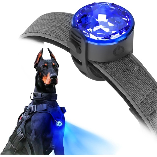 UMIONE Pet Light: Waterproof Dog Light, Durable and Ideal for Night Walks (in Gift Box) (Umione-White-02) UMIONE Pet Light: Waterproof Dog Light, Durable and Ideal for Night Walks (in Gift Box) (Umione-White-02)