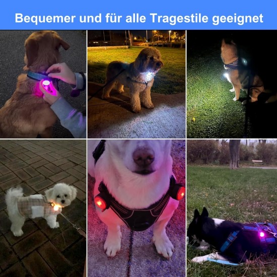 UMIONE Pet Light: Waterproof Dog Light, Durable and Ideal for Night Walks (in Gift Box) (Umione-White-02) UMIONE Pet Light: Waterproof Dog Light, Durable and Ideal for Night Walks (in Gift Box) (Umione-White-02)