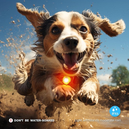 UMIONE Pet Light: Waterproof Dog Light, Durable and Ideal for Night Walks (in Gift Box) (Umione-White-02) UMIONE Pet Light: Waterproof Dog Light, Durable and Ideal for Night Walks (in Gift Box) (Umione-White-02)