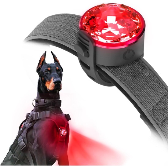 UMIONE Pet Light: Waterproof Dog Light, Durable and Ideal for Night Walks (in Gift Box) (Umione-White-02) UMIONE Pet Light: Waterproof Dog Light, Durable and Ideal for Night Walks (in Gift Box) (Umione-White-02)