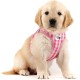 Vest Harness Curli Clasp Air Mesh Pink-Chequered XS & Leash M Vest Harness Curli Clasp Air Mesh Pink-Chequered XS & Leash M