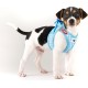 Vest Harness Curli Clasp Air Mesh Pink-Chequered XS & Leash M Vest Harness Curli Clasp Air Mesh Pink-Chequered XS & Leash M