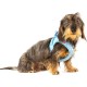 Vest Harness Curli Clasp Air Mesh Pink-Chequered XS & Leash M Vest Harness Curli Clasp Air Mesh Pink-Chequered XS & Leash M