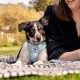 Vest Harness Curli Clasp Air Mesh Pink-Chequered XS & Leash M Vest Harness Curli Clasp Air Mesh Pink-Chequered XS & Leash M