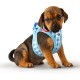 Vest Harness Curli Clasp Air Mesh Pink-Chequered XS & Leash M Vest Harness Curli Clasp Air Mesh Pink-Chequered XS & Leash M