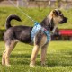 Vest Harness Curli Clasp Air Mesh Pink-Chequered XS & Leash M Vest Harness Curli Clasp Air Mesh Pink-Chequered XS & Leash M