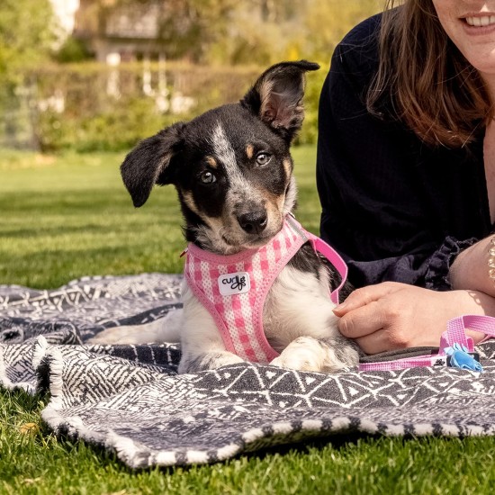 Vest Harness Curli Clasp Air Mesh Pink-Chequered XS & Leash M Vest Harness Curli Clasp Air Mesh Pink-Chequered XS & Leash M