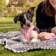 Vest Harness Curli Clasp Air Mesh Pink-Chequered XS & Leash M Vest Harness Curli Clasp Air Mesh Pink-Chequered XS & Leash M
