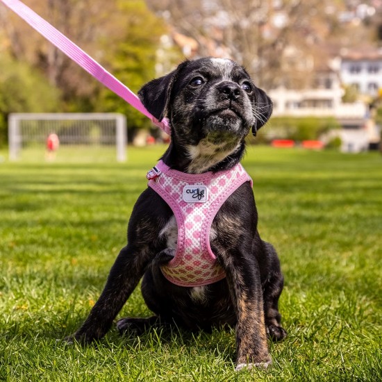 Vest Harness Curli Clasp Air Mesh Pink-Chequered XS & Leash M Vest Harness Curli Clasp Air Mesh Pink-Chequered XS & Leash M