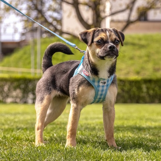 Vest Harness Curli Clasp Air Mesh Pink-Chequered XS & Leash M Vest Harness Curli Clasp Air Mesh Pink-Chequered XS & Leash M