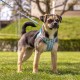 Vest Harness Curli Clasp Air Mesh Pink-Chequered XS & Leash M Vest Harness Curli Clasp Air Mesh Pink-Chequered XS & Leash M