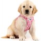 Vest Harness Curli Clasp Air Mesh Pink-Circles S & Leash M Vest Harness Curli Clasp Air Mesh Pink-Circles S & Leash M