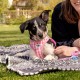 Vest Harness Curli Clasp Air Mesh Pink-Circles S & Leash M Vest Harness Curli Clasp Air Mesh Pink-Circles S & Leash M