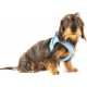 Vest Harness Curli Clasp Air Mesh Pink-Circles S & Leash M Vest Harness Curli Clasp Air Mesh Pink-Circles S & Leash M