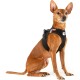 Vest Harness Curli Clasp Cord Tan XS Vest Harness Curli Clasp Cord Tan XS
