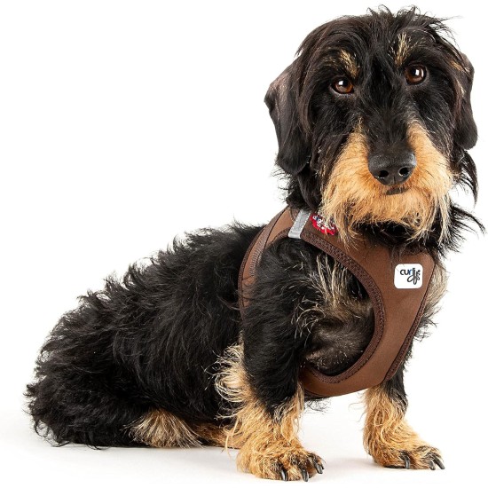 Vest Harness Curli Clasp Softshell Red 2XS Vest Harness Curli Clasp Softshell Red 2XS