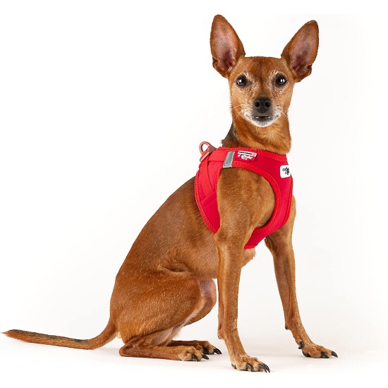 Vest Harness Curli Clasp Softshell Red 2XS Vest Harness Curli Clasp Softshell Red 2XS