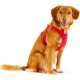 Vest Harness Curli Clasp Softshell Red 2XS Vest Harness Curli Clasp Softshell Red 2XS