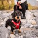 Vest Harness Curli Clasp Softshell Red 2XS Vest Harness Curli Clasp Softshell Red 2XS