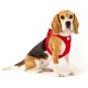 Vest Harness Curli Clasp Softshell Red 2XS Vest Harness Curli Clasp Softshell Red 2XS