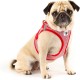 Vest Harness Merino Curli Clasp Red XL Vest Harness Merino Curli Clasp Red XL