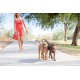 WIGZI Dual Doggie (2 Dogs) Retractable Leash with Light (L.E.D), Tangle Free, 360 Degree Technology, Independent Braking, Any Dog up to 50 lbs, Each Dog with 10 Feet Reflective Leashes for WIGZI Dual Doggie (2 Dogs) Retractable Leash with Light (L.E.D), Tangle Free, 360 Degree Technology, Independent Braking, Any Dog up to 50 lbs, Each Dog with 10 Feet Reflective Leashes for