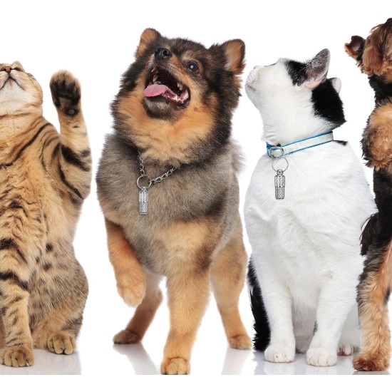Welsberg Pack of 6 Address Tags Address Sleeve Collar Waterproof Silver Pendant for Dog and Cat Address Capsule Ultra Light Address Tag Silver Welsberg Pack of 6 Address Tags Address Sleeve Collar Waterproof Silver Pendant for Dog and Cat Address Capsule Ultra Light Address Tag Silver