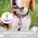 XURJUMI Pack of 4 Loud Pet Bells for Collars Bell for Dogs Loud Dog Bells Key Rings Dog Bells Dog Triple Bell Pendant Accessories for Dogs Cats Necklace XURJUMI Pack of 4 Loud Pet Bells for Collars Bell for Dogs Loud Dog Bells Key Rings Dog Bells Dog Triple Bell Pendant Accessories for Dogs Cats Necklace