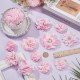 arricraft Dog Collar with Bows and Flower Attachment, Pink, Pack of 12 Flowers, Dog Collars, Pet Pendant, Polyester Decorations for Small and Medium Dogs, Puppies, Cats Collar arricraft Dog Collar with Bows and Flower Attachment, Pink, Pack of 12 Flowers, Dog Collars, Pet Pendant, Polyester Decorations for Small and Medium Dogs, Puppies, Cats Collar