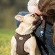 curli Corduroy Dog Vest Harness, Brown, 3XS curli Corduroy Dog Vest Harness, Brown, 3XS
