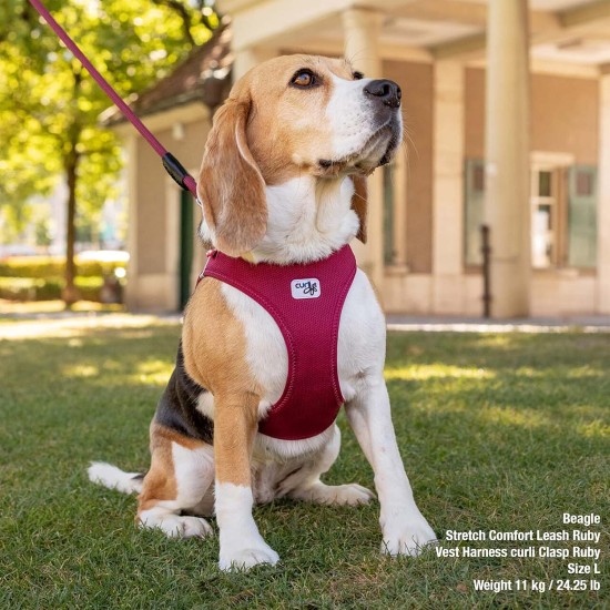 curli Dog Vest Harness with Clasp, Air Mesh, Fuchsia, S curli Dog Vest Harness with Clasp, Air Mesh, Fuchsia, S