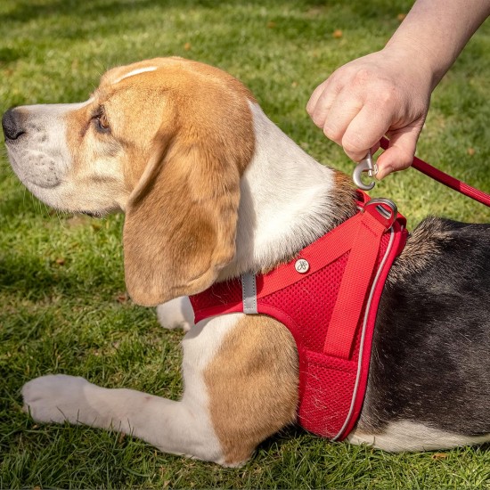 curli Magnetic Vest Harness V2 Dog Harness, Magnetic D-Rings, Stretch Air Mesh Upper, Adjustable, Reflective Hem, Size M. Black. curli Magnetic Vest Harness V2 Dog Harness, Magnetic D-Rings, Stretch Air Mesh Upper, Adjustable, Reflective Hem, Size M. Black.