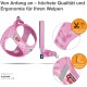 curli Puppy Set, Air Mesh Harness with Lead, XS, Pink caro curli Puppy Set, Air Mesh Harness with Lead, XS, Pink caro