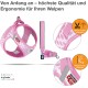 curli Puppy Set, Air Mesh Harness with Lead, XS, Pink circles curli Puppy Set, Air Mesh Harness with Lead, XS, Pink circles