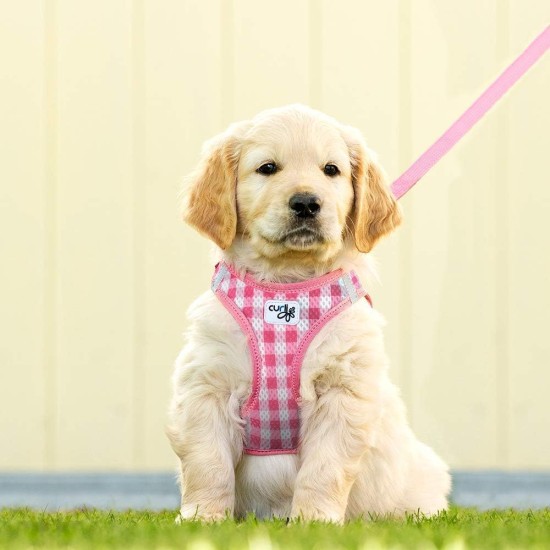 curli Puppy Set, Air Mesh Harness with Lead, XS, Pink circles curli Puppy Set, Air Mesh Harness with Lead, XS, Pink circles