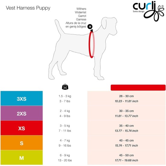 curli Puppy Set, Air Mesh Harness with Lead, XS, Pink circles curli Puppy Set, Air Mesh Harness with Lead, XS, Pink circles