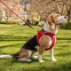 curli Vest Harness, Clasp, Air Mesh, Moss, L curli Vest Harness, Clasp, Air Mesh, Moss, L