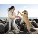 flexi® Comfort S Belt 5 m Pink Roll Lead for Dogs up to 15 kg flexi® Comfort S Belt 5 m Pink Roll Lead for Dogs up to 15 kg