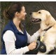 flexi Giant L harness 8 m for dogs up to 50 kg