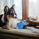 flexi Giant Professional L belt 10 m for dogs up to 50 kg