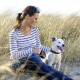 flexi Giant Professional L belt 10 m for dogs up to 50 kg flexi Giant Professional L belt 10 m for dogs up to 50 kg
