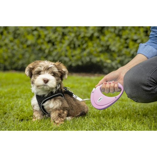 flexi® Neon M Strap 5 m Black Neon Pink Strap Reflective Side Panel Roll Lead for Dogs up to 25 kg flexi® Neon M Strap 5 m Black Neon Pink Strap Reflective Side Panel Roll Lead for Dogs up to 25 kg