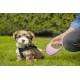 flexi® Neon M Strap 5 m Black Neon Pink Strap Reflective Side Panel Roll Lead for Dogs up to 25 kg flexi® Neon M Strap 5 m Black Neon Pink Strap Reflective Side Panel Roll Lead for Dogs up to 25 kg