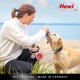 flexi® Neon S 5 m Black Neon Green Strap Reflective Side Panel Roll Lead for Dogs up to 15 kg